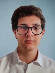 Mattia Arici