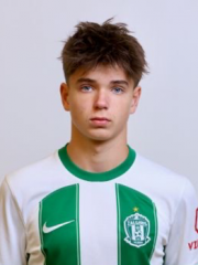 Daniel Lik&scaron;a