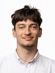 Dominykas  Želvys